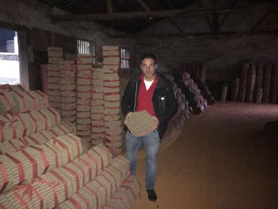 Αρκούδος λούτρινος με μπαλόνια σε Χριστουγεννιάτικο δέντρο